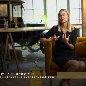 Yasmine D'hanis - Overheidsopdrachten